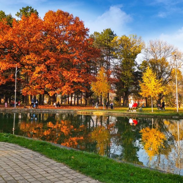 245088283_5062667357094221_7551950568005598395_n