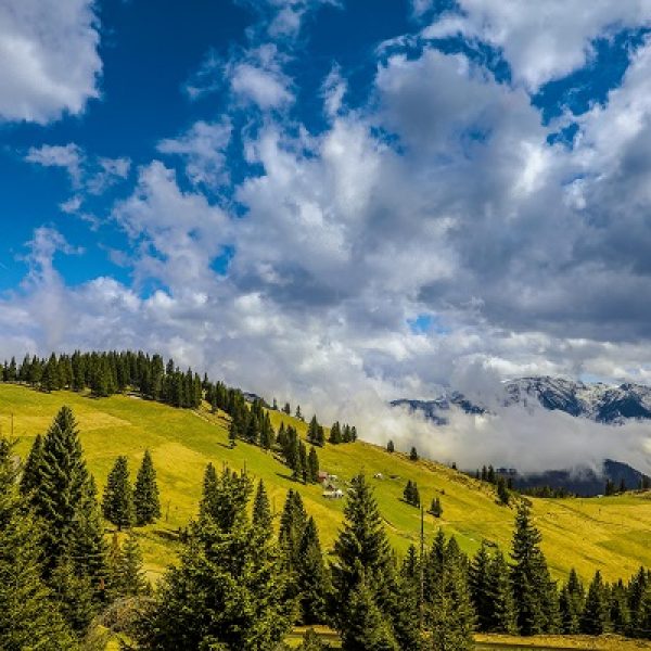 DB-Informatori2021 (11)