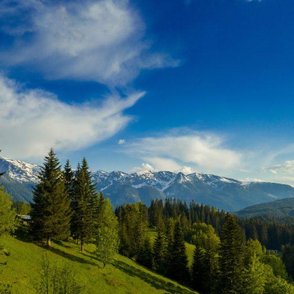 DB-Informatori2021 (22)