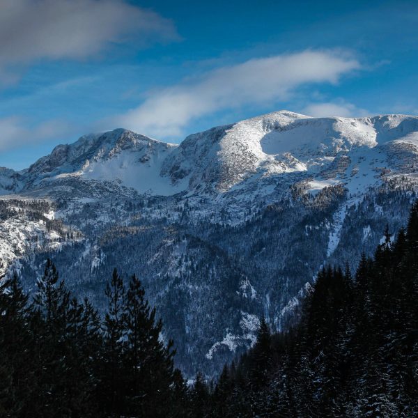 DB-Informatori2021 (26)