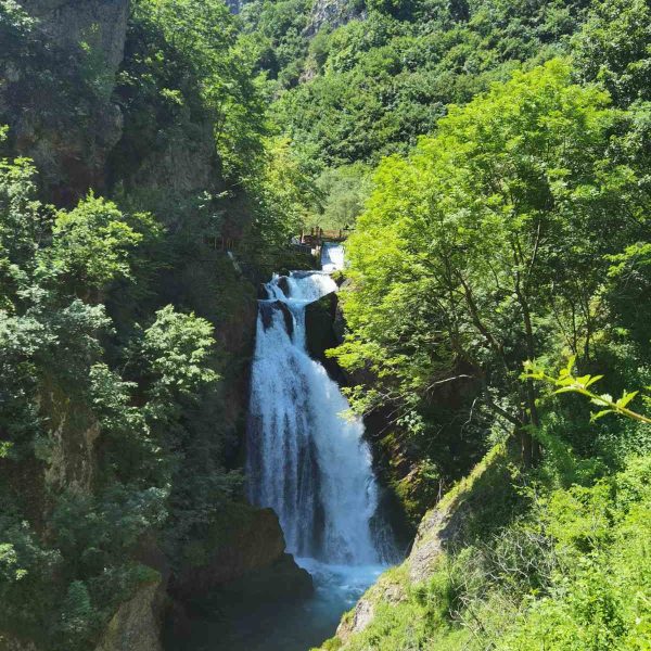 IMG-419fabe0cdcd1e8268c9e2d2deb77f6f-V