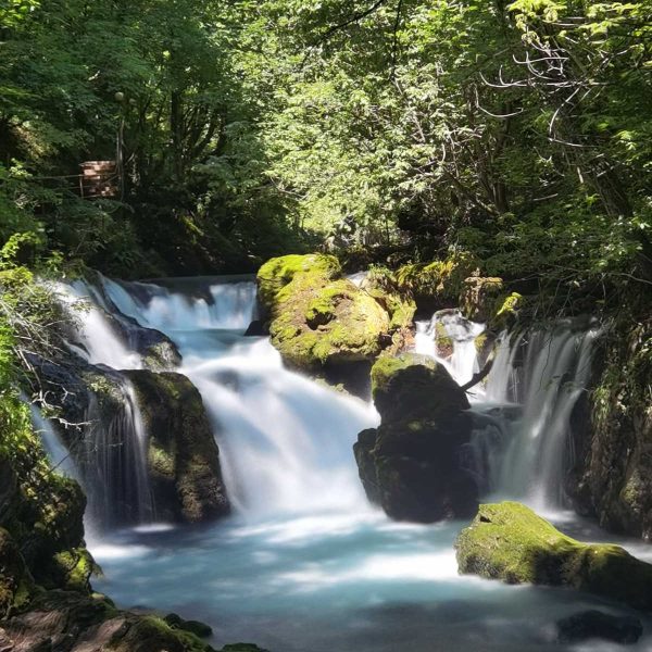 IMG-5c899688a2e18e0ac6e4d7454b89b4e0-V