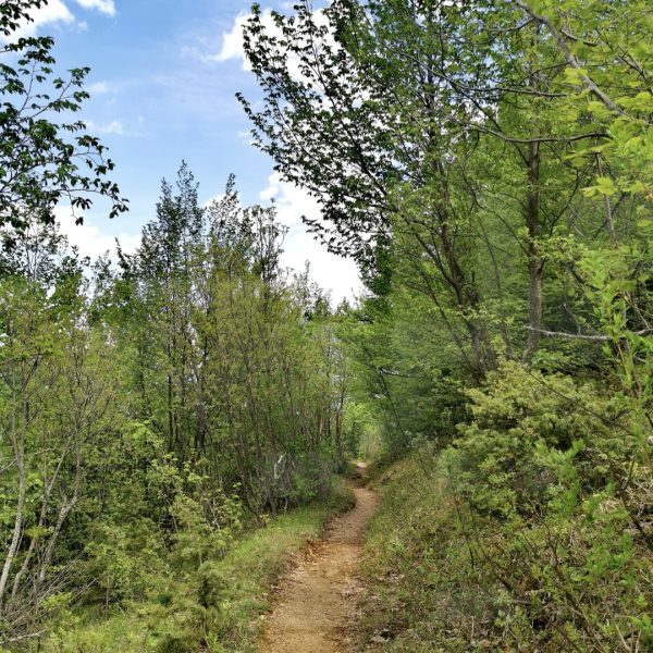 Screenshot_20240711_163621_Gallery