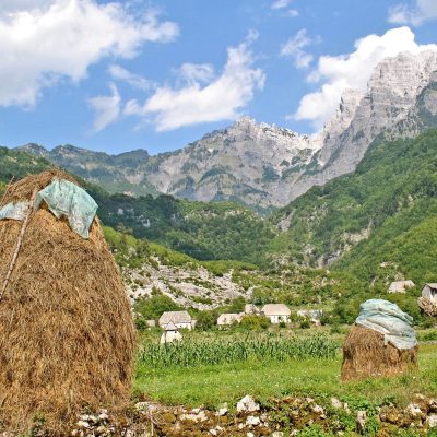 ????????????????????????????????????