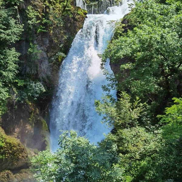 WhatsApp Image 2023-08-08 at 14.36.10