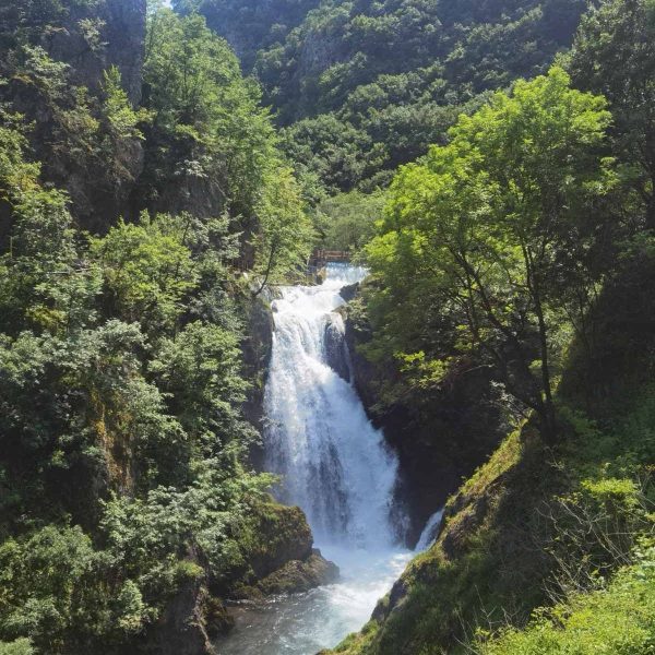 WhatsApp Image 2023-08-08 at 14.36.11