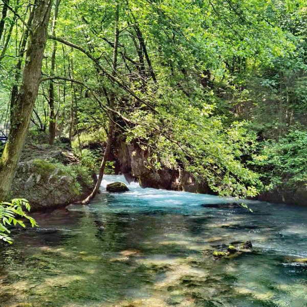 WhatsApp Image 2023-08-08 at 14.36.13 (1)