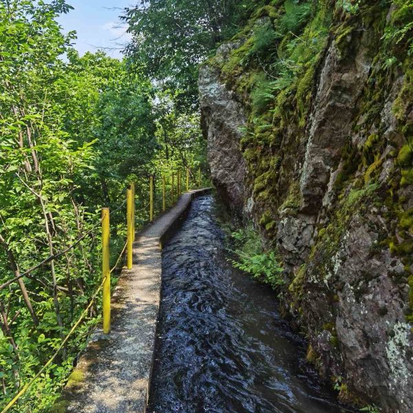 WhatsApp Image 2023-08-08 at 14.47.17 (2)